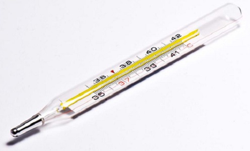 mercury thermometers