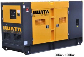 diesel fueled generator