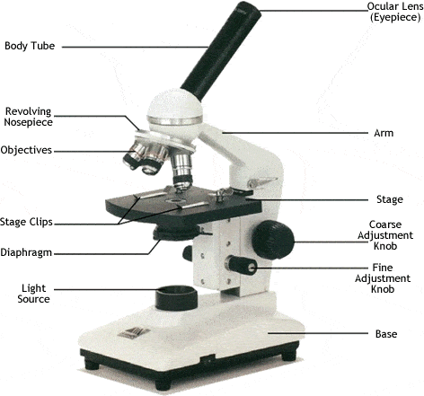 Microscope parts and functions