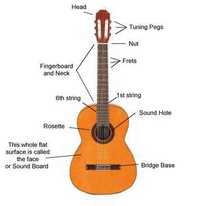 types of guitar