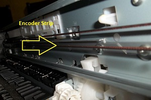 7 Ways to Fix Linear Crossed Out of the Printer Results